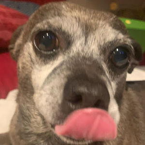 Meet your Posher, Jama